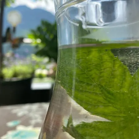 Garni Pinzgau, Bernd Hüttl